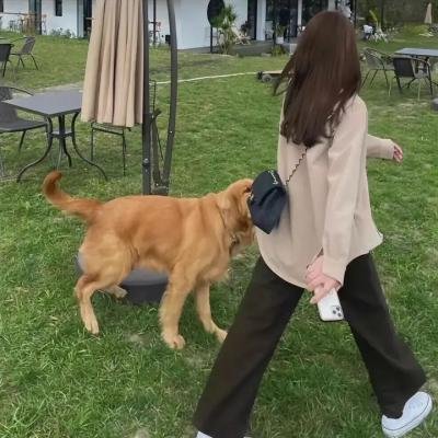 重启的爱情